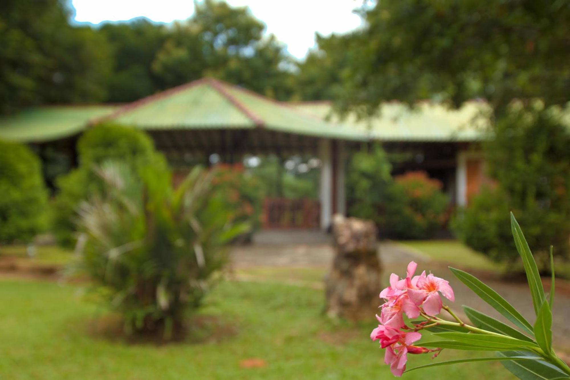 The Mastodon Valley Safari Resort Udawalawe Exterior foto